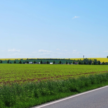 10 in Sachsen-Anhalt 1 gross.jpg